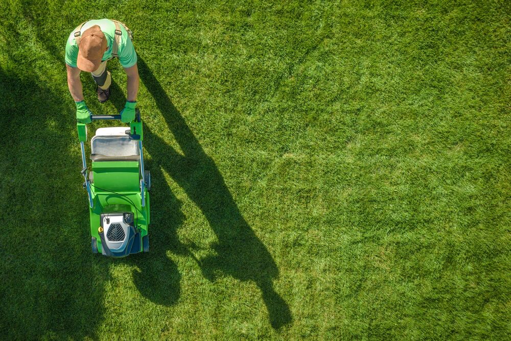 Medium-Seezon – A guide to lawn care 1 – Mow lawn