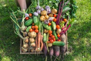Small-Seezon &#8211; vegetables gardening &#8211; potager