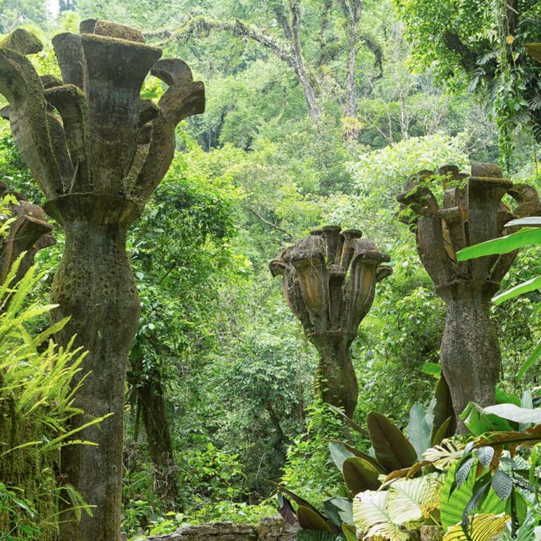Las Pozas garden 1
