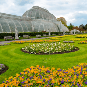 kew royal botanic gardens