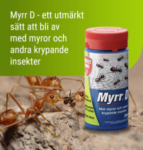 Myrr D