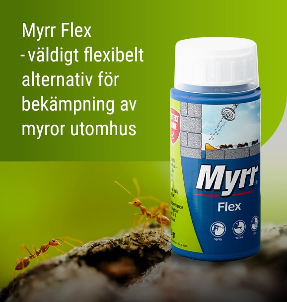 Myrr Flex