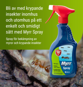 Myrr Spray